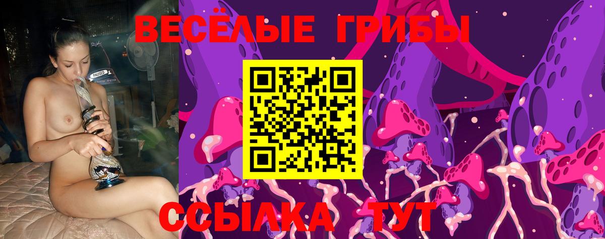 купить   Вход с VPN  Псилоцибиновые грибы Psilocybe  Орёл  Псилоцибиновые грибы GOLDEN TEACHER 
